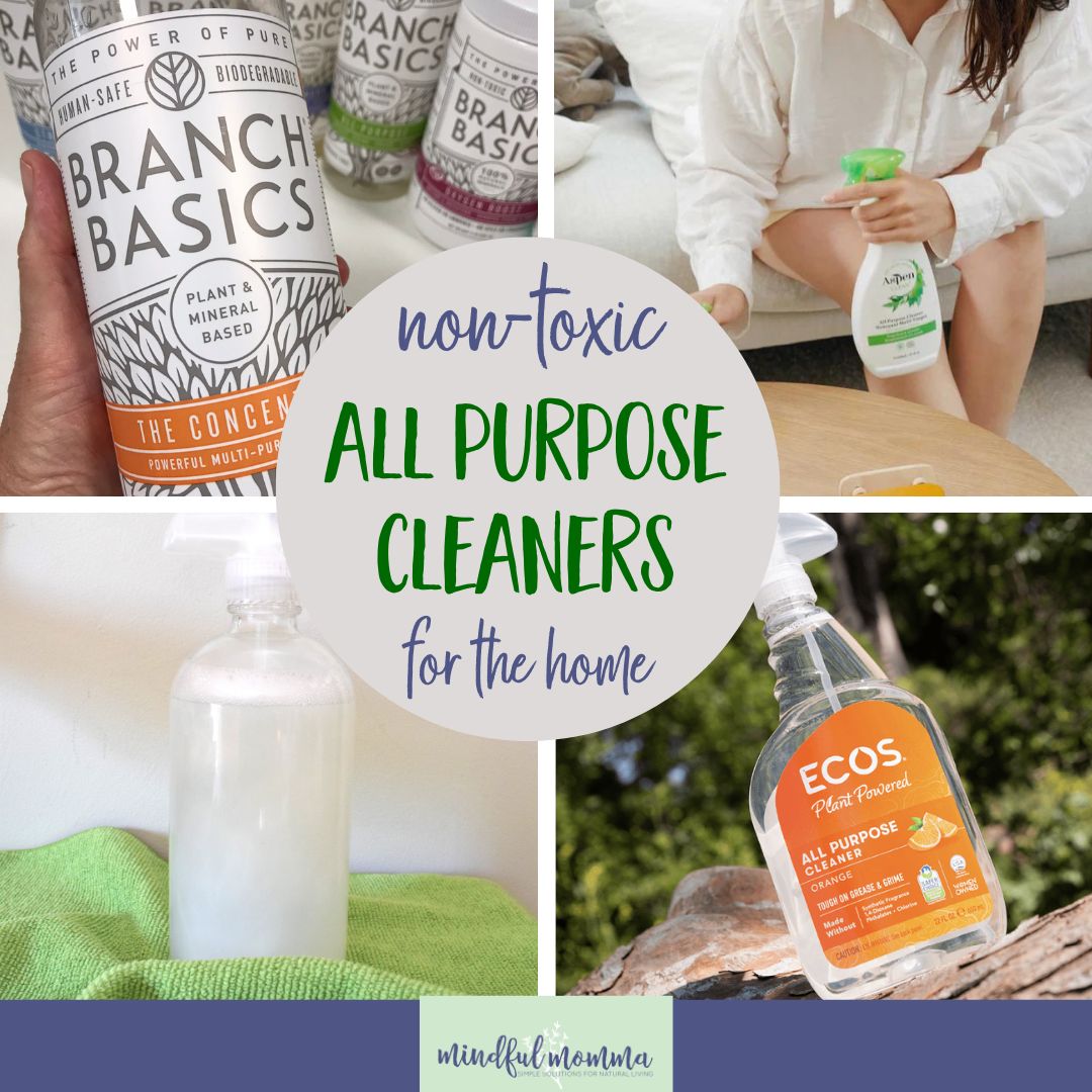 Best Non Toxic All Purpose Cleaner for the Dwelling